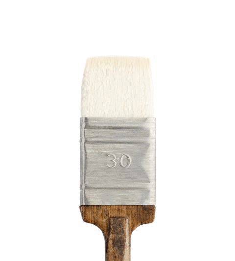 ROUBLOFF 5G2NC-30 ZEMİN SERAMİK VE SULU BOYA FIRÇASI