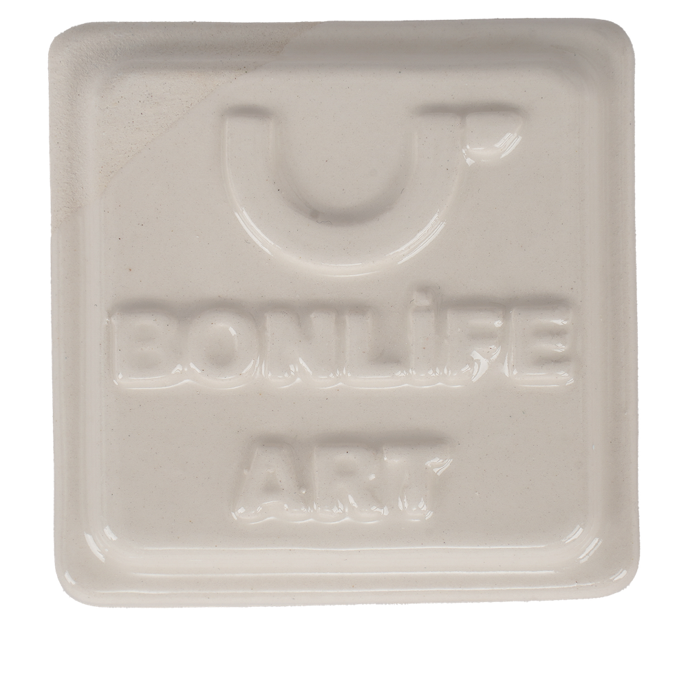 BON-TS-160 TRASNPARAN SIR-1200°C-400 GR