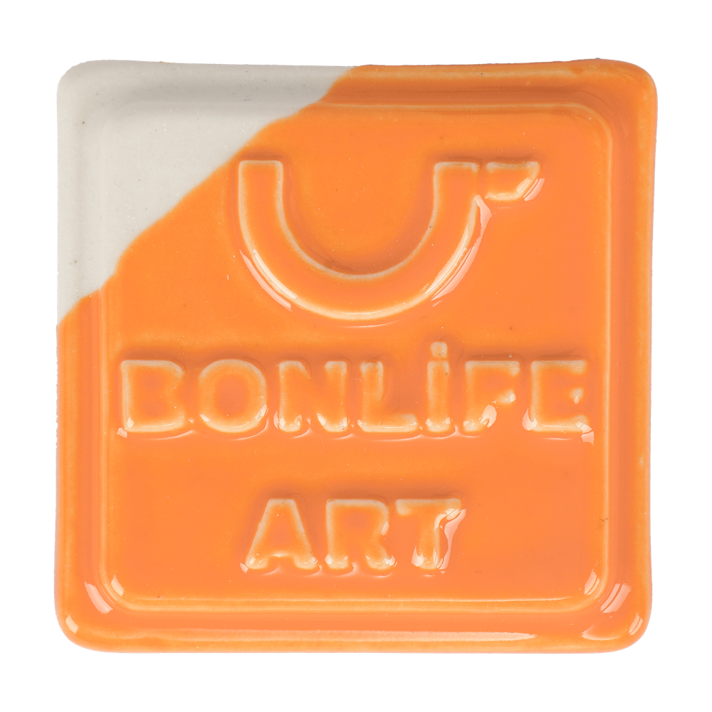 CTRS6671 Parlak Somon Sır 1200°C 400 Gr