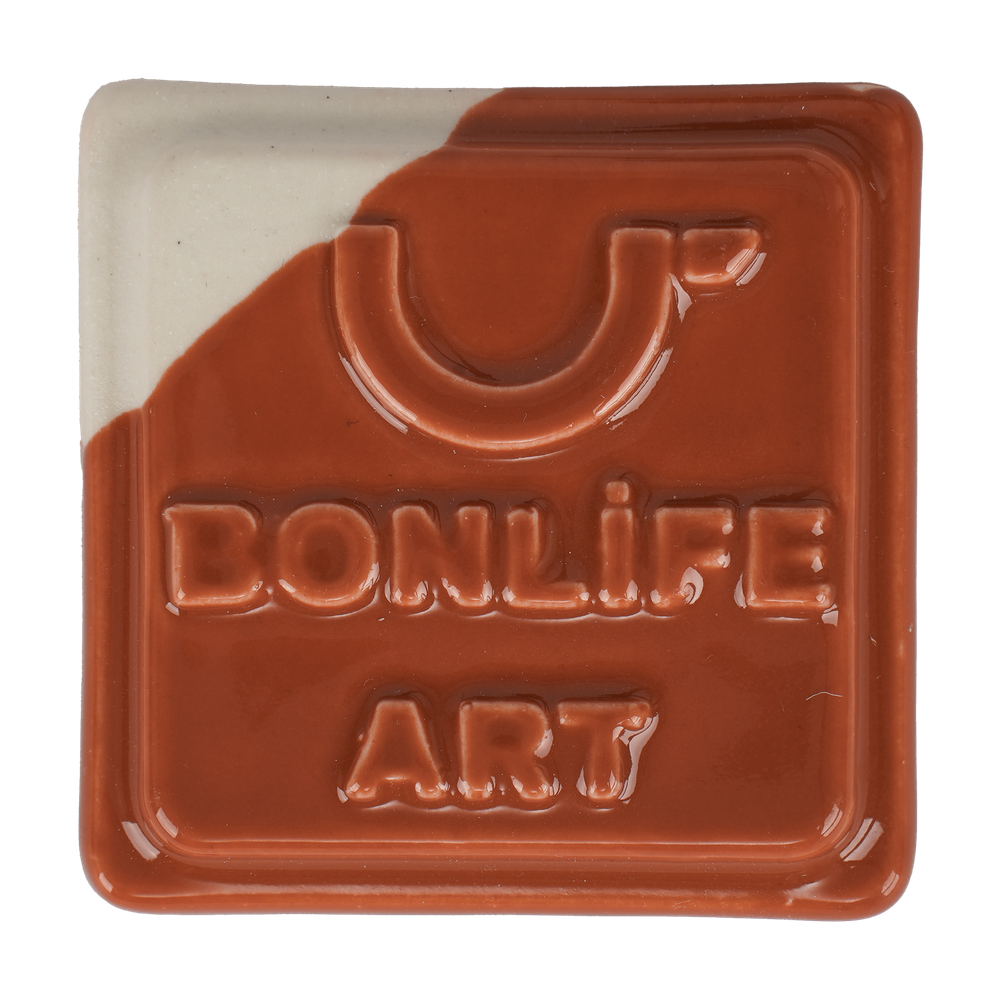 CTRS8805 Parlak Koral Sır 1200°C 400 Gr