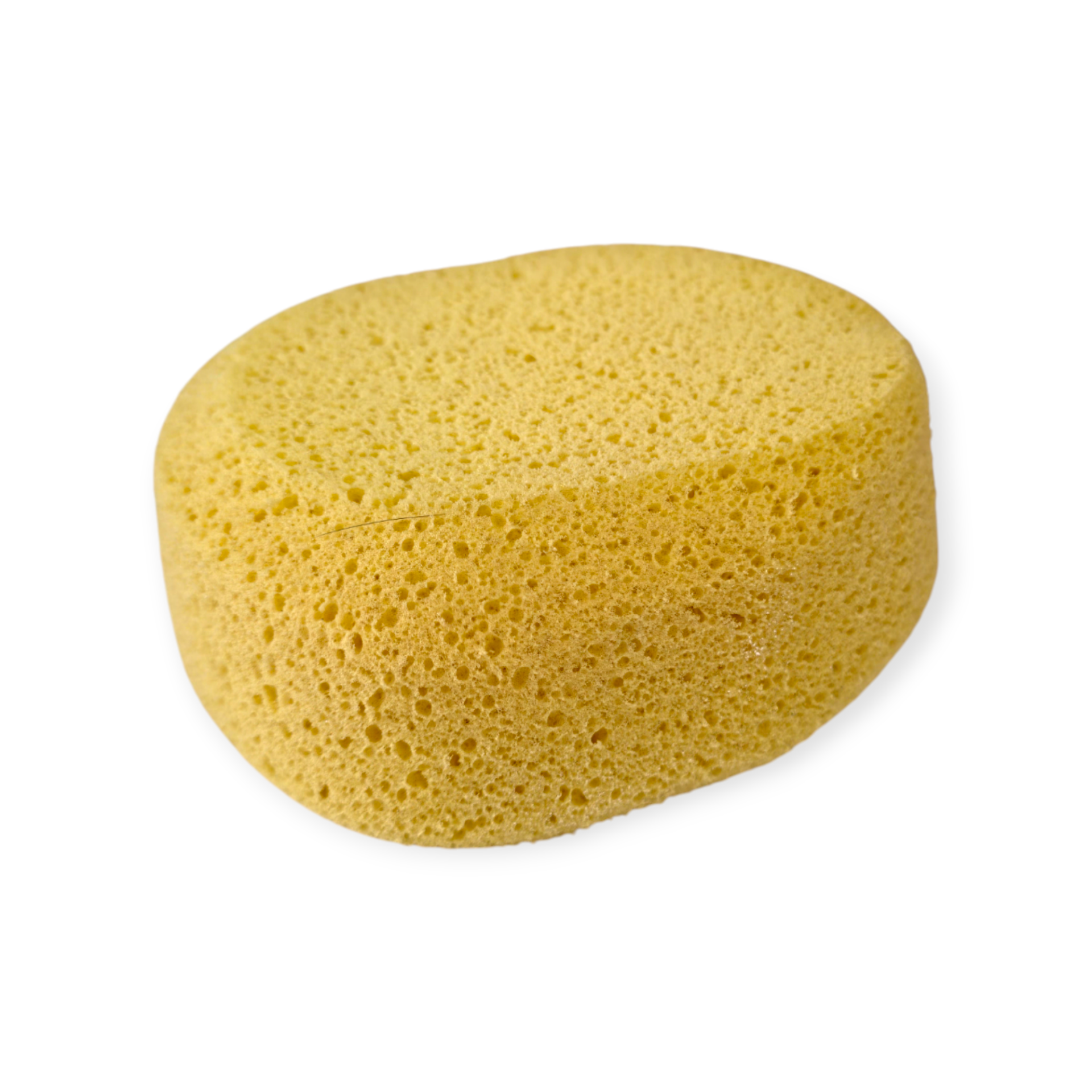 S-08 Oval Rötuş Süngeri