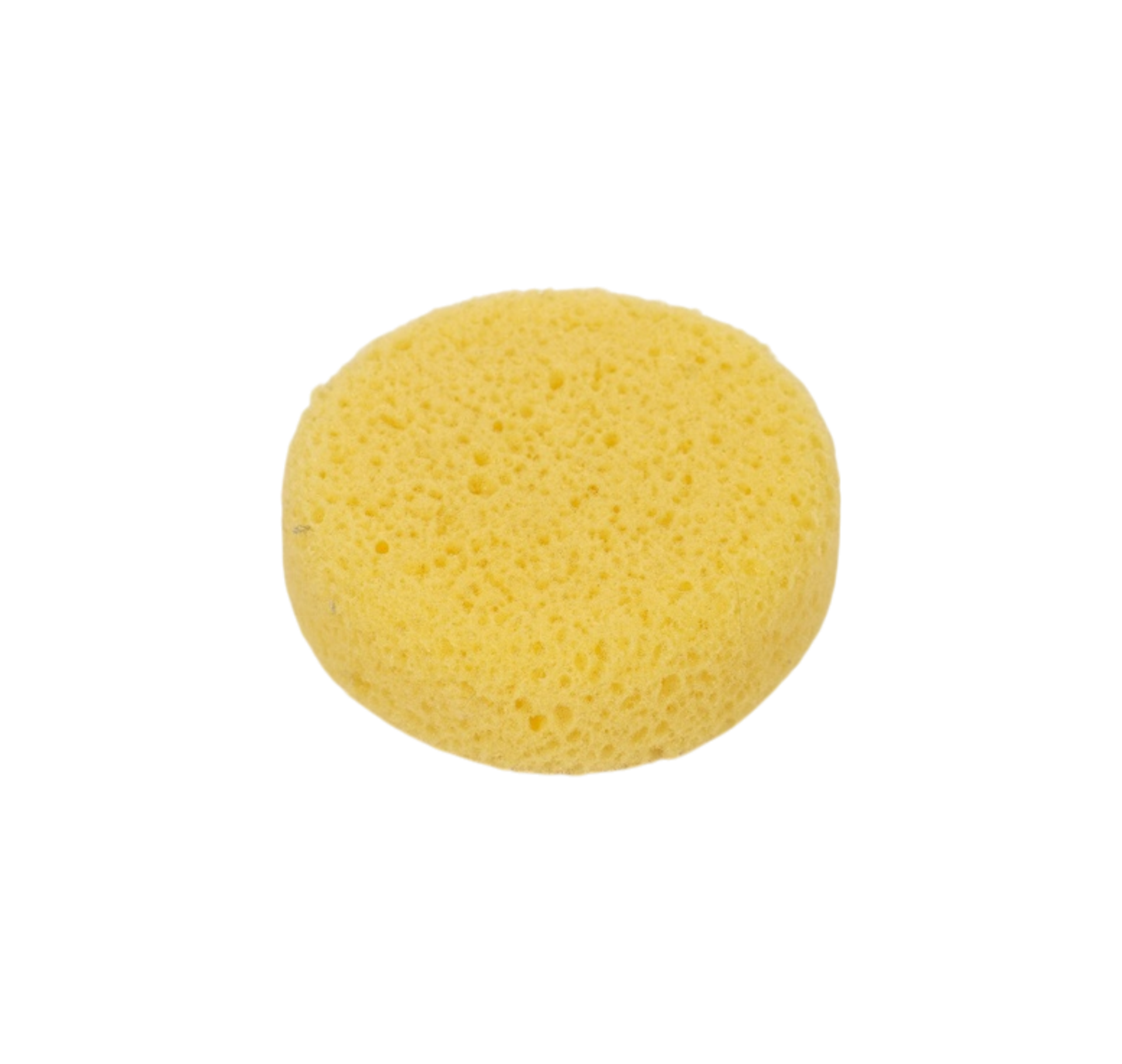 RS005 Yuvarlak Rötuş Süngeri