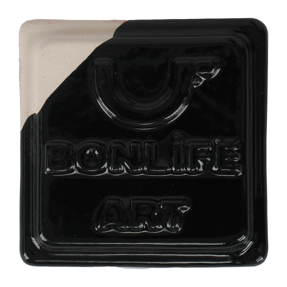 TRS-3372 PARLAK SİYAH SIR - 1050°C - 400 GR
