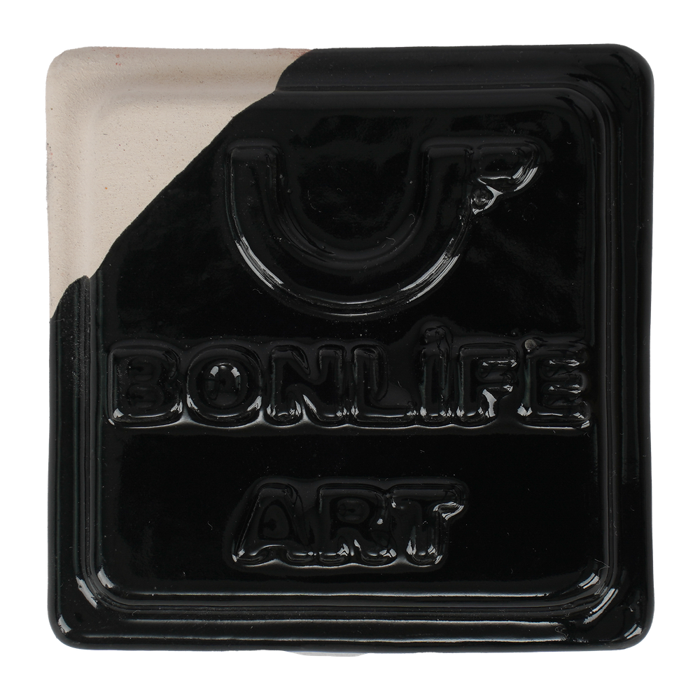 TRS3372 PARLAK SİYAH SIR - 1050°C - 400 GR