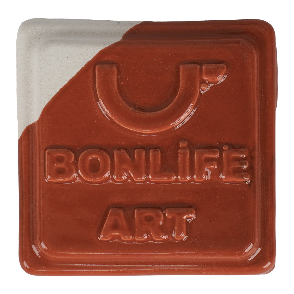 TRS8805 PARLAK KORAL SIR-1050°C-400 GR